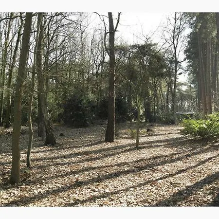 De Berg Budel